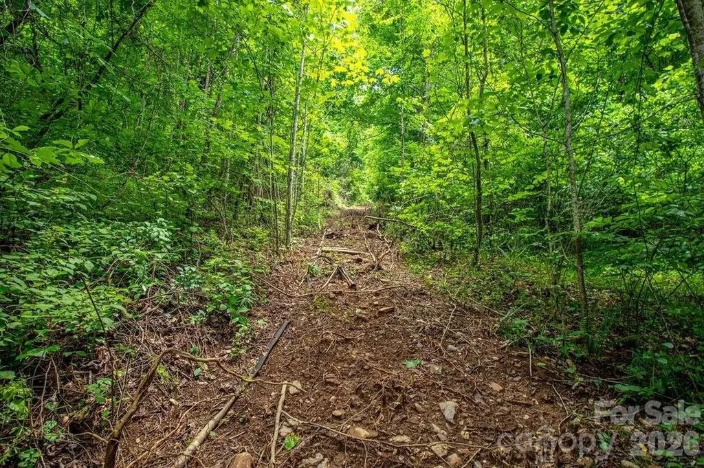9999 Sandy Mush Creek Road Leicester NC 28748