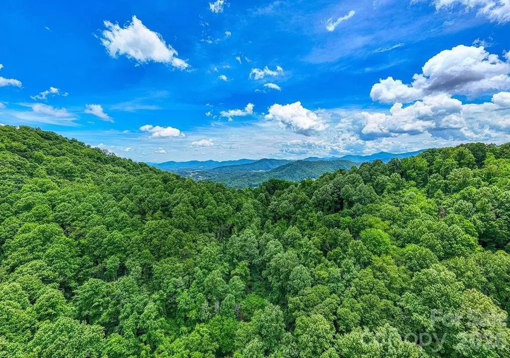 9999 Sandy Mush Creek Road Leicester NC 28748