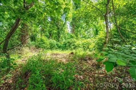 9999 Sandy Mush Creek Road Leicester NC 28748