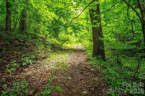9999 Sandy Mush Creek Road Leicester NC 28748