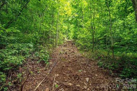 9999 Sandy Mush Creek Road Leicester NC 28748