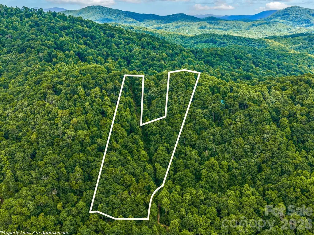 520 Patricia Road Black Mountain NC 28711