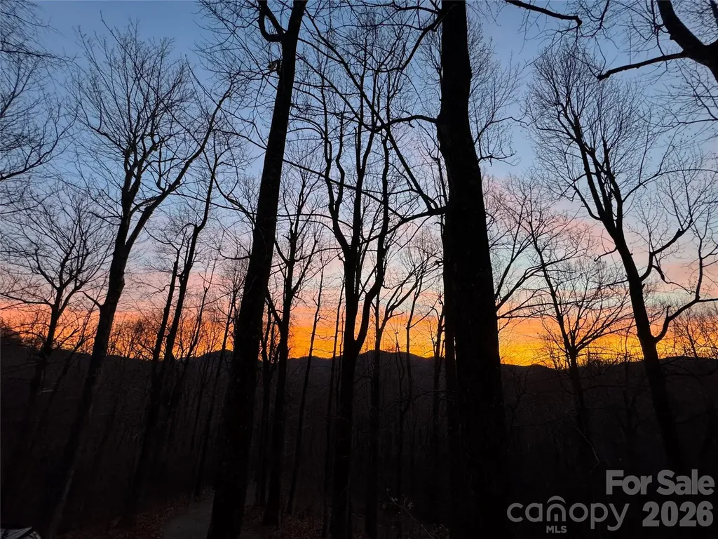 520 Patricia Road Black Mountain NC 28711