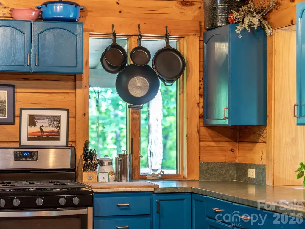 520 Patricia Road Black Mountain NC 28711