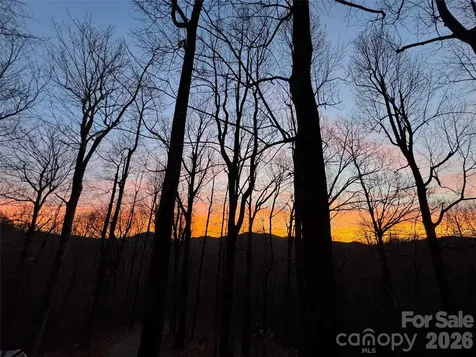 520 Patricia Road Black Mountain NC 28711