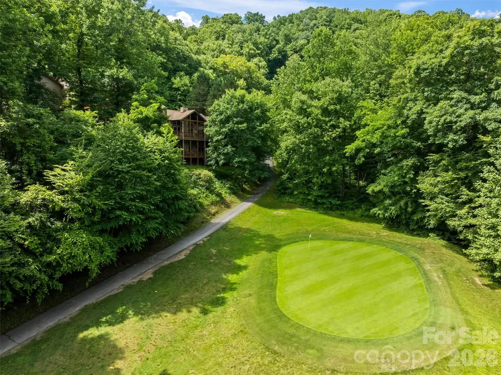 226 Sawgrass Drive Whittier NC 28789