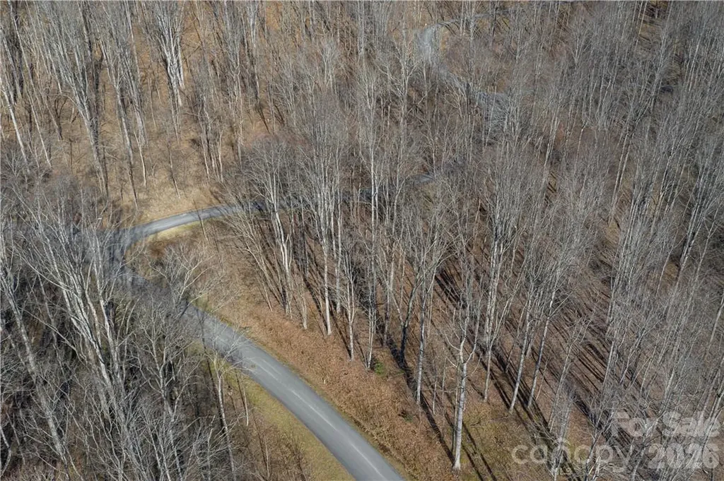 Lot 17 Mountain Watch Drive Maggie Valley NC 28751