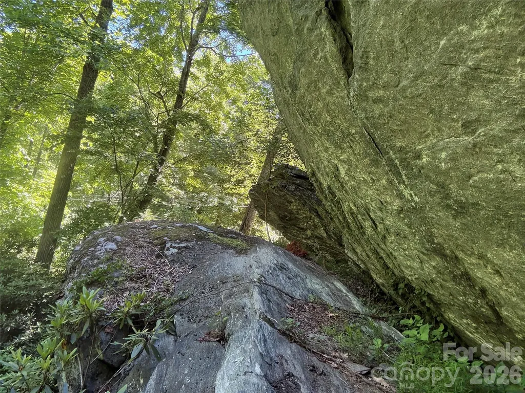 1590 Shulls Mill Road Boone NC 28607