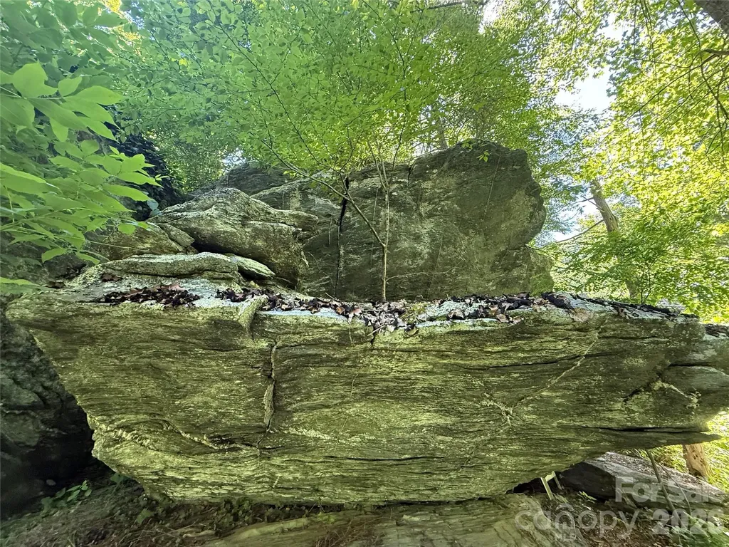 1590 Shulls Mill Road Boone NC 28607