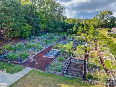 5036 Blossom Point Drive Indian Land SC 29707