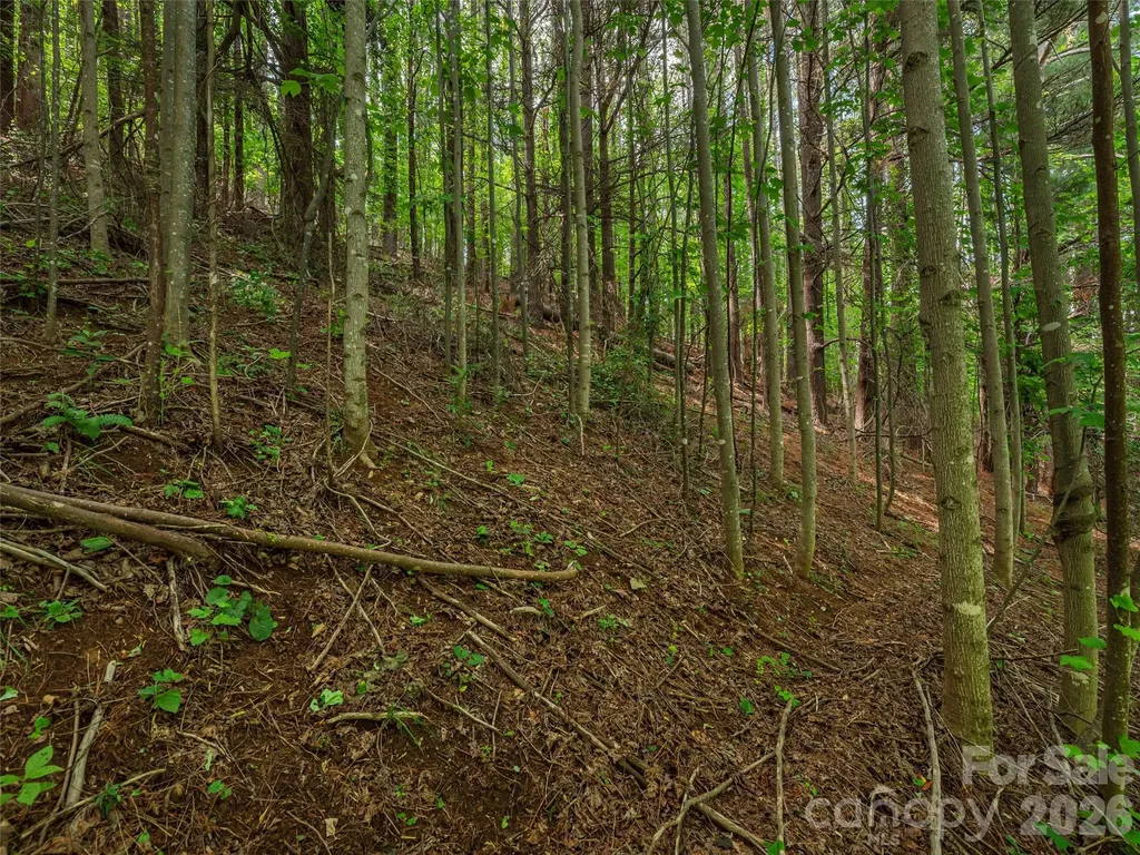 5622 Dutch Cove Road Canton NC 28716