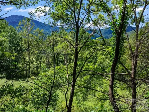 1896 State Hwy 80 S Burnsville NC 28714