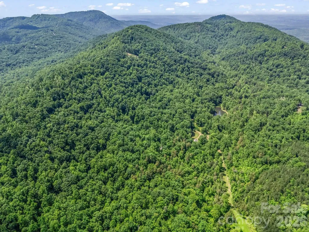 980 Mountain Forest Drive Union Mills NC 28167