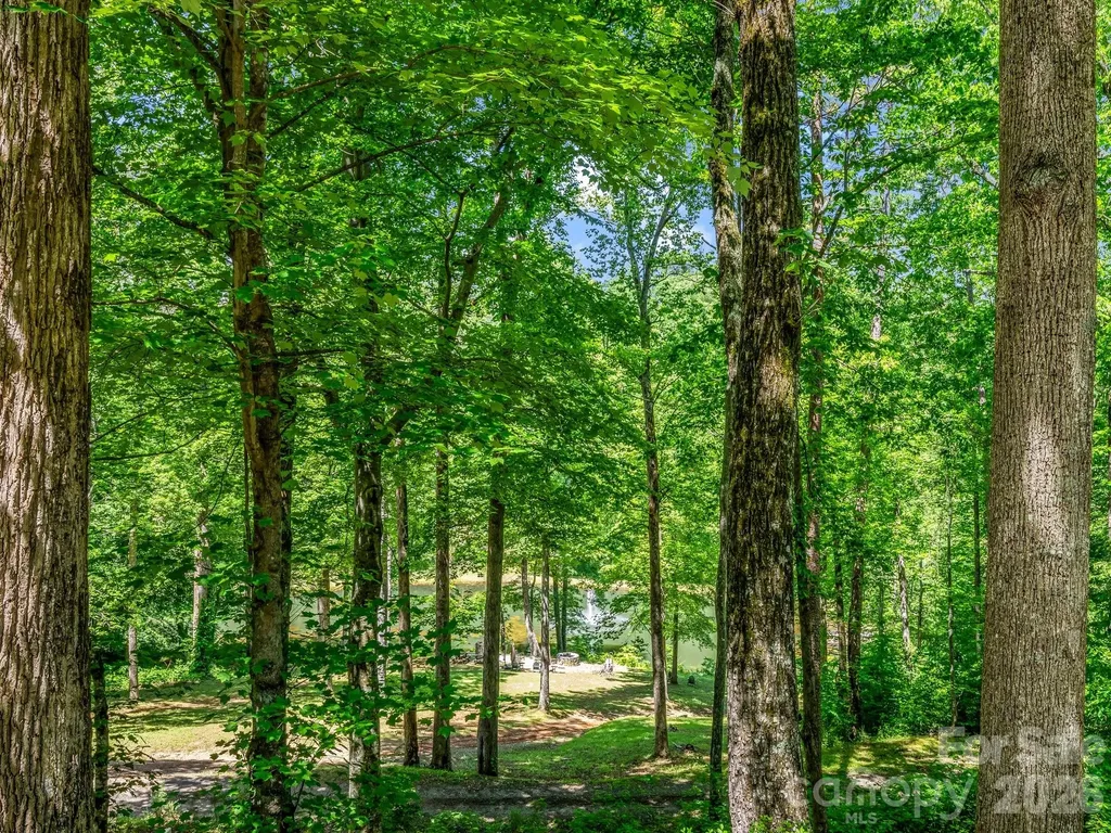 980 Mountain Forest Drive Union Mills NC 28167