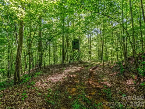 980 Mountain Forest Drive Union Mills NC 28167