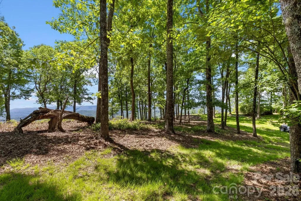 9999 Rocky Mountain Road Lake Toxaway NC 28747