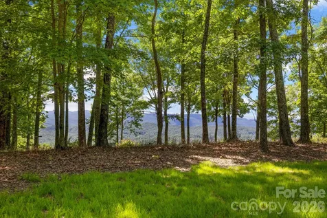 9999 Rocky Mountain Road Lake Toxaway NC 28747