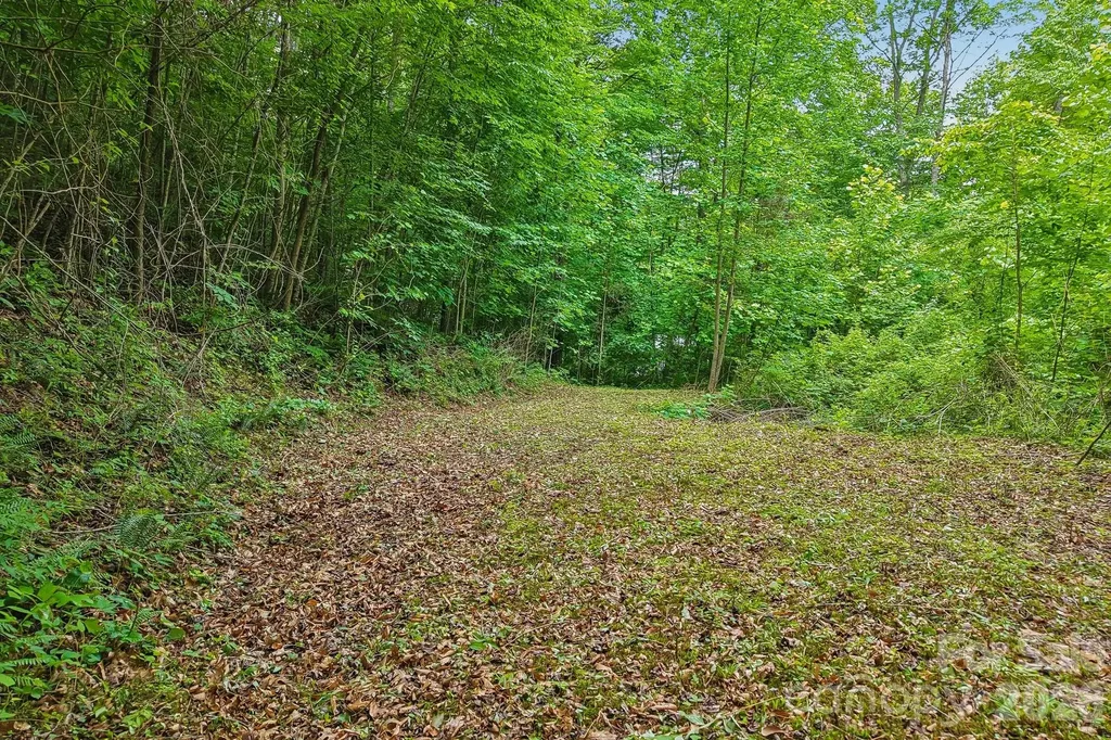 00 Sequoyah Drive Waynesville NC 29786