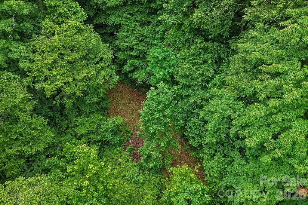 00 Sequoyah Drive Waynesville NC 29786