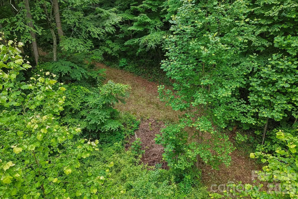 00 Sequoyah Drive Waynesville NC 29786