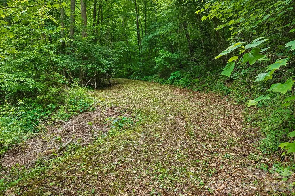 00 Sequoyah Drive Waynesville NC 29786