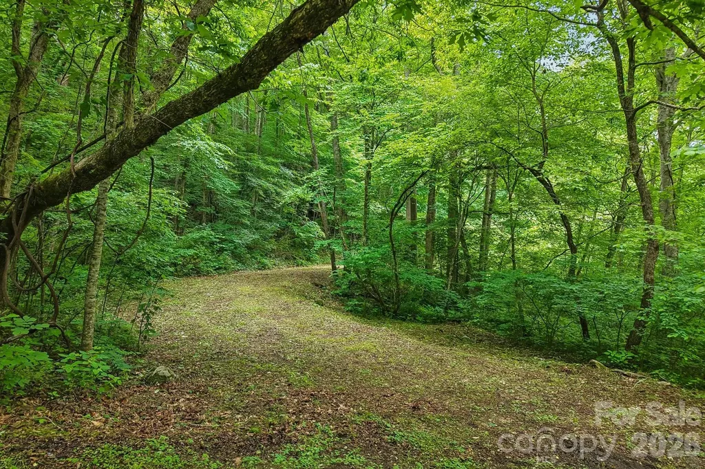 00 Sequoyah Drive Waynesville NC 29786