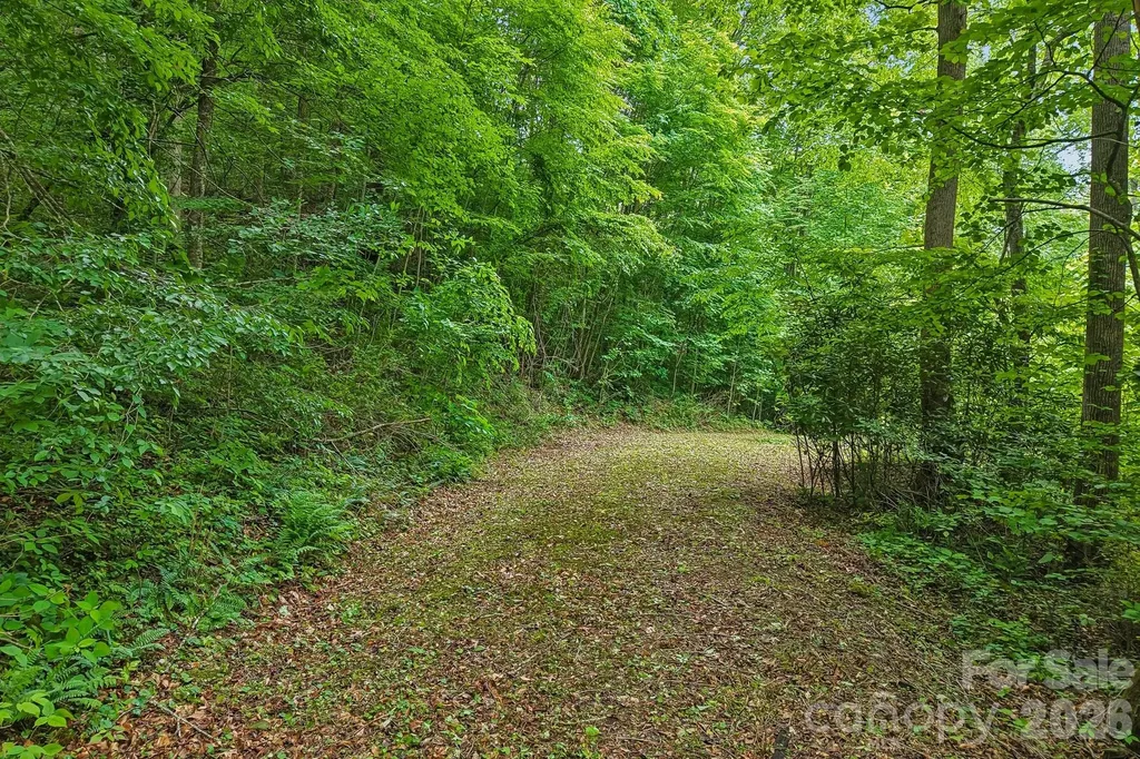 00 Sequoyah Drive Waynesville NC 29786