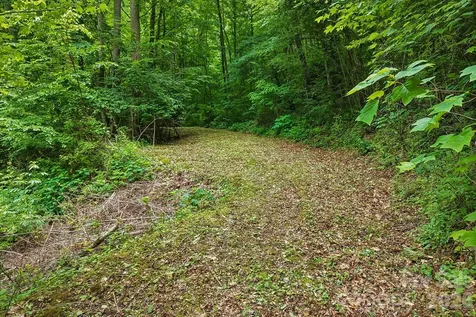 00 Sequoyah Drive Waynesville NC 29786