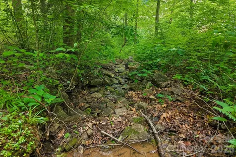 00 Sequoyah Drive Waynesville NC 29786