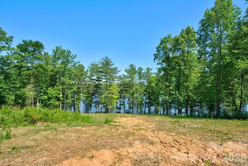 2199 Castle Peak Mountain Connelly Springs NC 28612