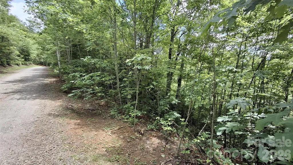 Lot 29 Signal Ridge Road Sylva NC 28779