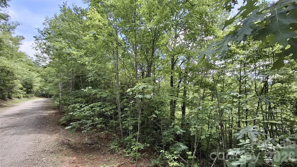 Lot 29 Signal Ridge Road Sylva NC 28779