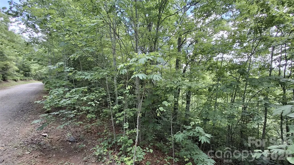 Lot 29 Signal Ridge Road Sylva NC 28779