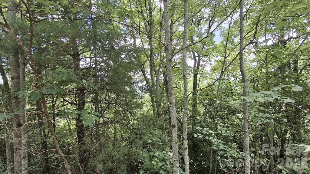 Lot 29 Signal Ridge Road Sylva NC 28779