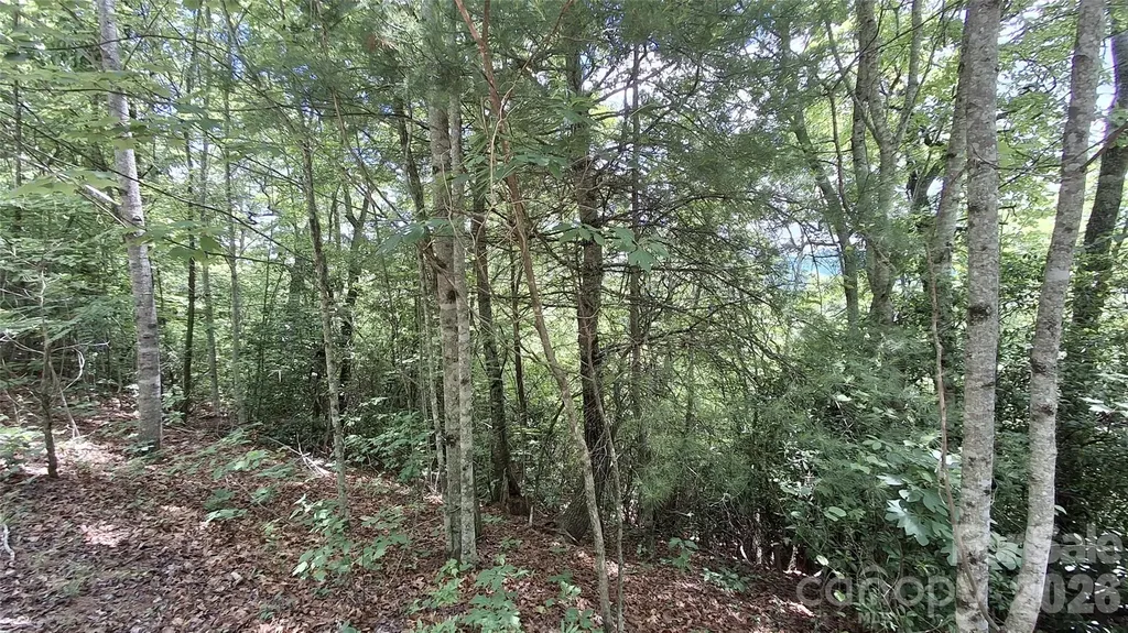 Lot 29 Signal Ridge Road Sylva NC 28779