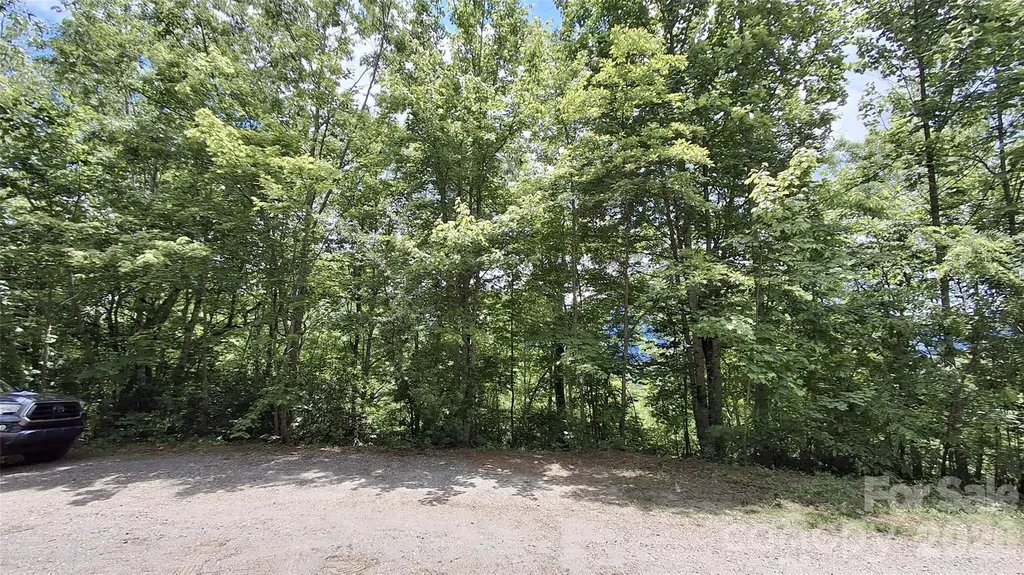 Lot 29 Signal Ridge Road Sylva NC 28779