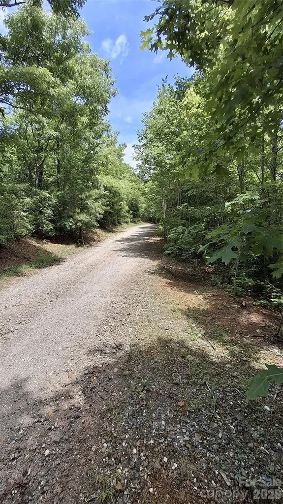 Lot 29 Signal Ridge Road Sylva NC 28779