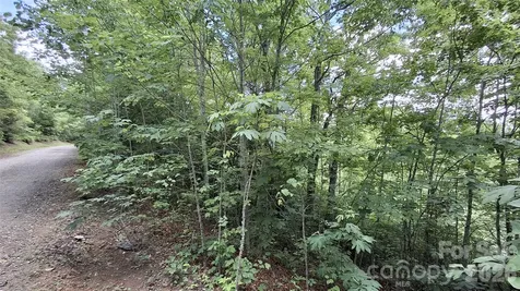 Lot 29 Signal Ridge Road Sylva NC 28779