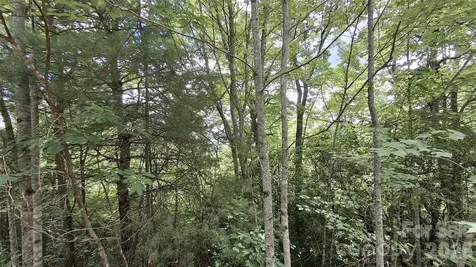 Lot 29 Signal Ridge Road Sylva NC 28779