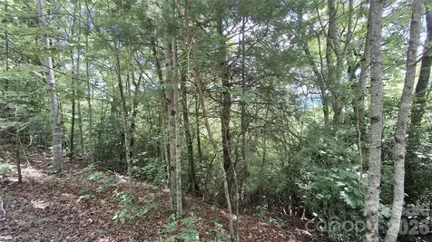 Lot 29 Signal Ridge Road Sylva NC 28779