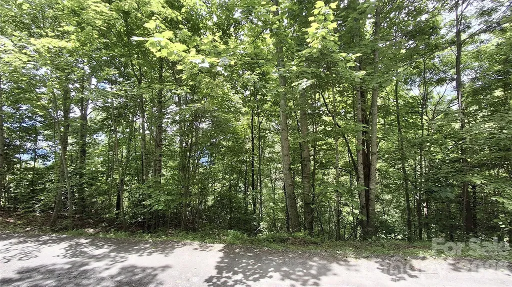 491 Signal Ridge Road Sylva NC 28779