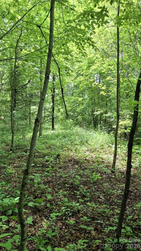 491 Signal Ridge Road Sylva NC 28779