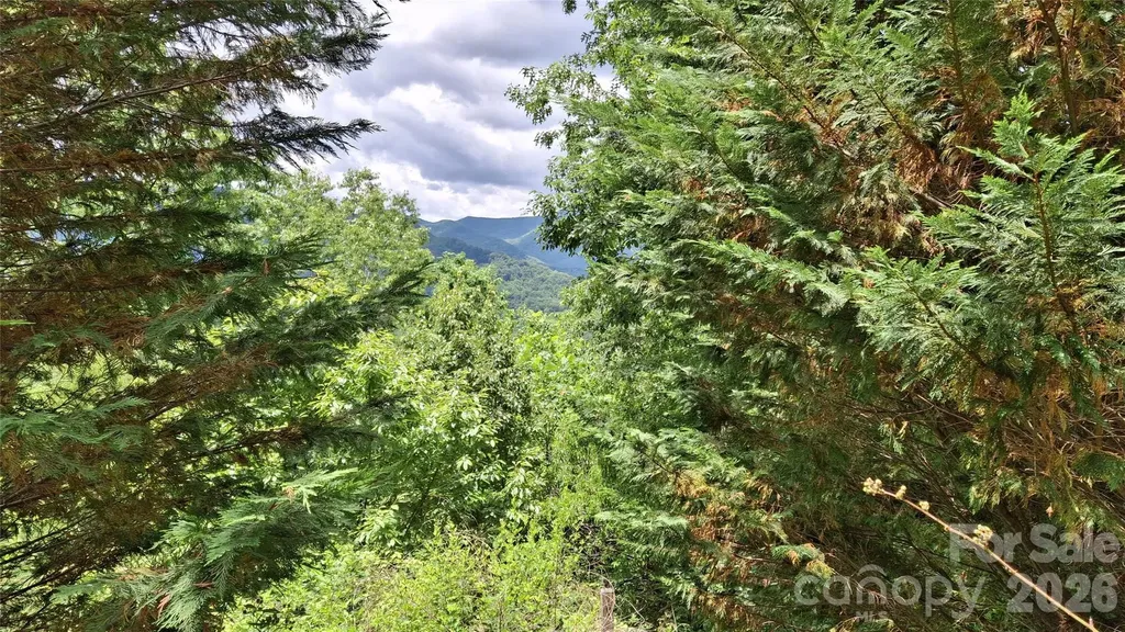 491 Signal Ridge Road Sylva NC 28779