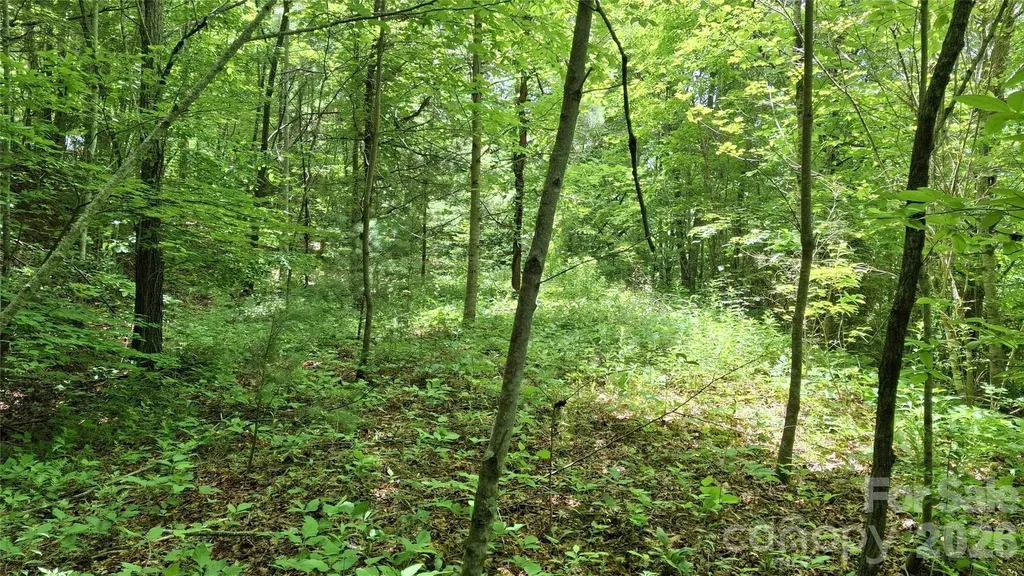 491 Signal Ridge Road Sylva NC 28779