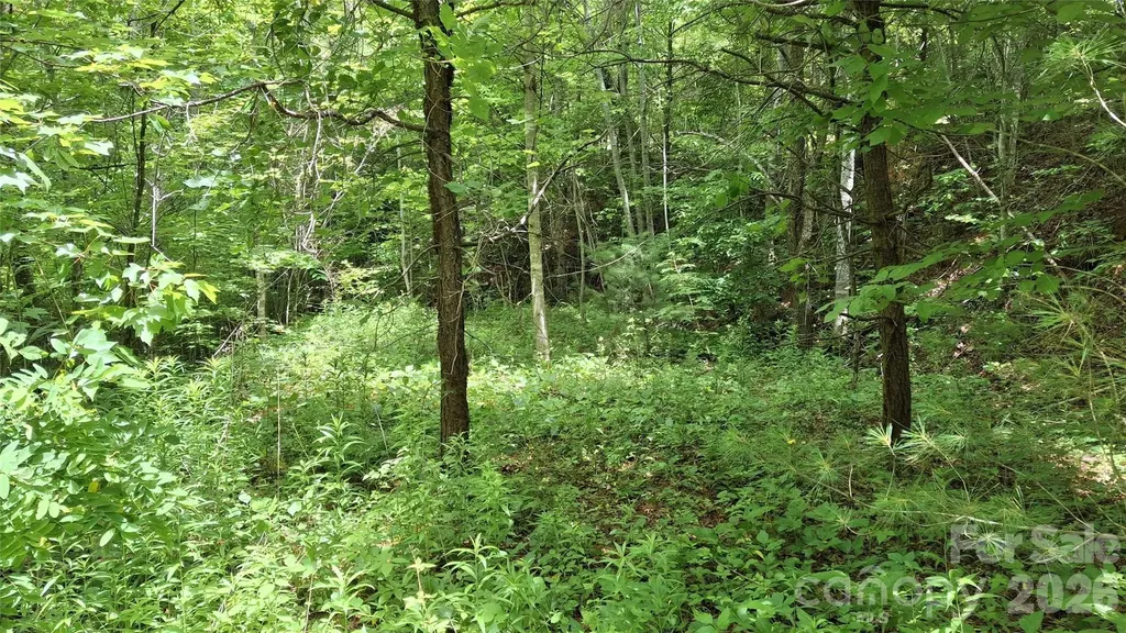 491 Signal Ridge Road Sylva NC 28779