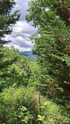 491 Signal Ridge Road Sylva NC 28779