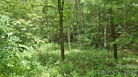 491 Signal Ridge Road Sylva NC 28779