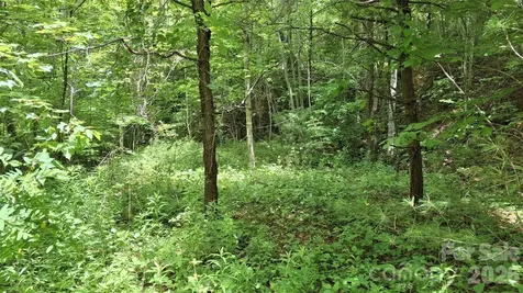 491 Signal Ridge Road Sylva NC 28779