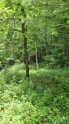 491 Signal Ridge Road Sylva NC 28779