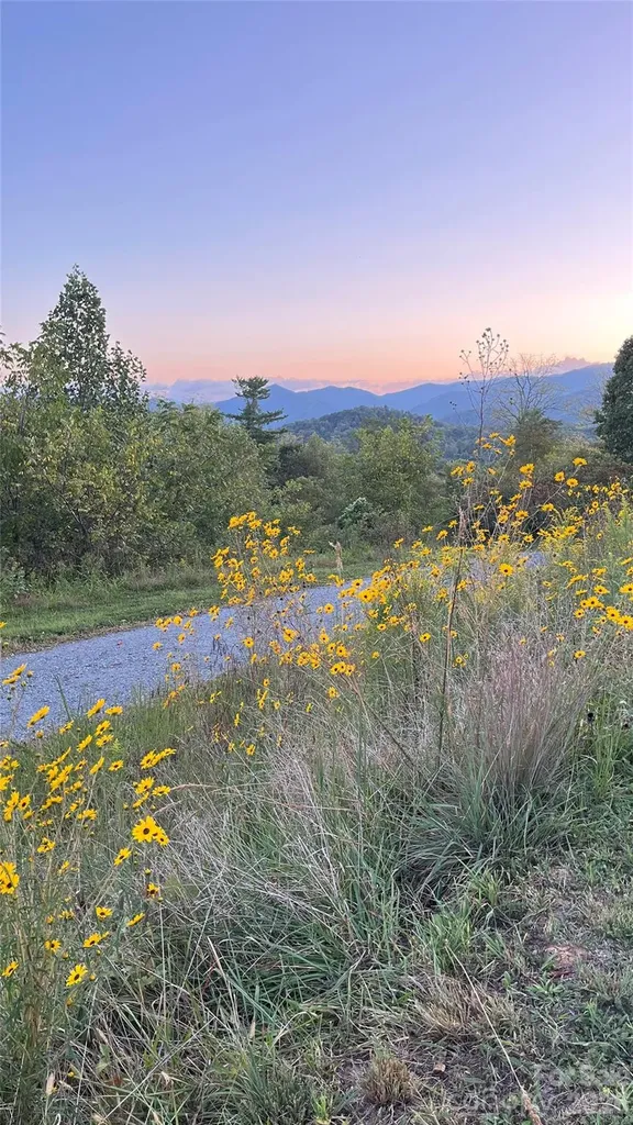 601 And 478 Freedom Cove Drive Marshall NC 28753